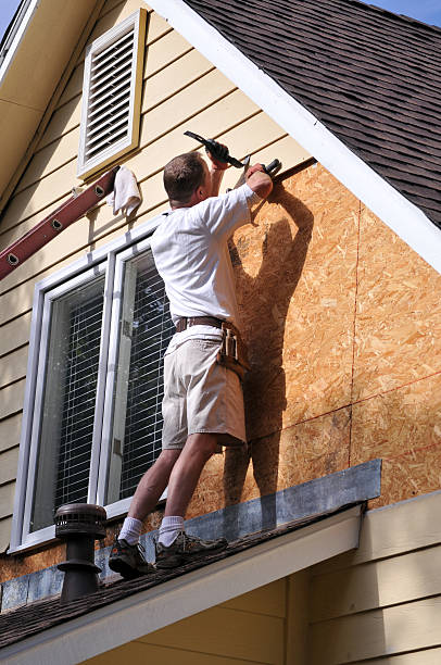 Affordable Siding Repair and Maintenance Services in Monroeville, IN